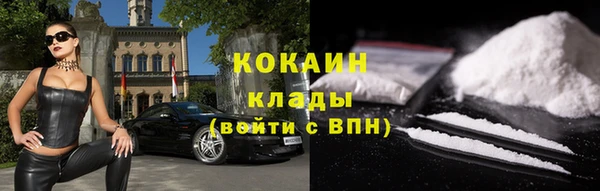 ешки Аркадак